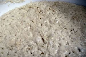 No Knead Bread 002