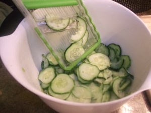 Refrigerator Pickles 012