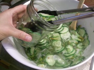 Refrigerator Pickles 023