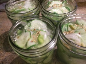 Refrigerator Pickles 027