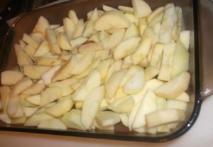 Mom's Apple Crisp 040