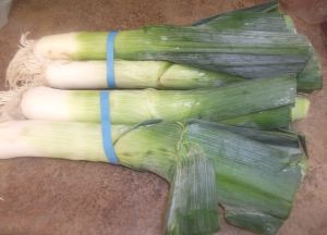 Leeks  046