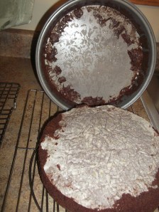 Olive Oil Chocolate Cake 082