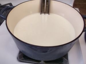 Homemade Ricotta 014