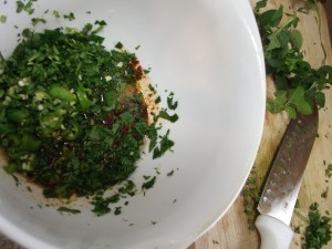 Churrasco Beef with Chimichurri 005