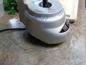 Churrasco Beef with Chimichurri 021