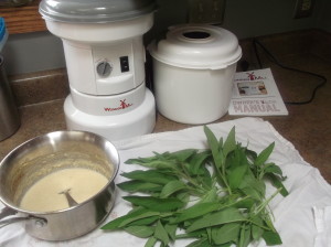 WonderMill-sage-fritters-001-300x224